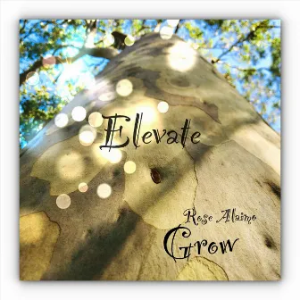 Elevate by Rose Alaimo