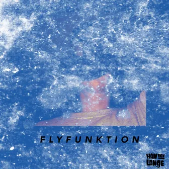 Flyfunktion by Ham Den Lange