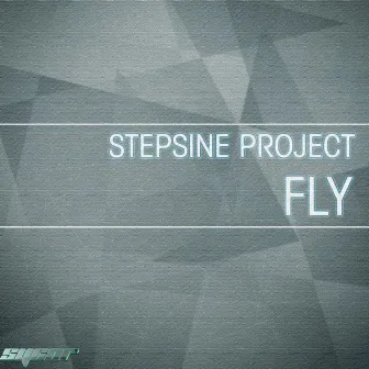 Fly by Stepsine Project