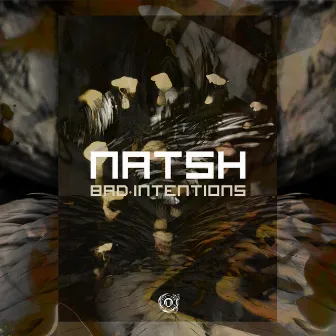 Bad Intensions EP by Natsh