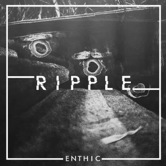 Ripple by Enthic