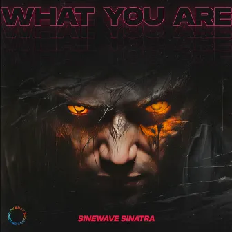 What You Are by Sinewave Sinatra