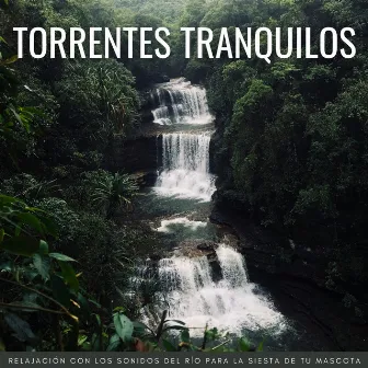 Torrentes Tranquilos: Relajación Con Los Sonidos Del Río Para La Siesta De Tu Mascota by Corriente Meteorica