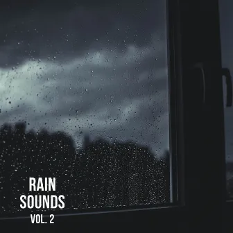 Rain Sounds Vol. 2, The Rain Library by Rain Sounds To Fall Asleep To