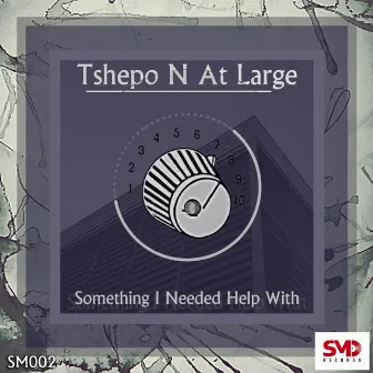 Something I Needed Help With by Tshepo N At Large