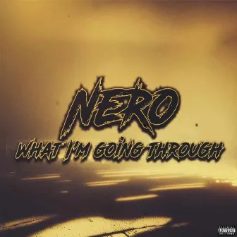 What I'm Going Through by Nero