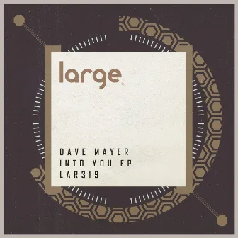 Into You EP by Dave Mayer