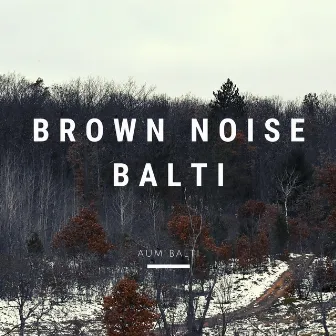 Brown Noise Balti by Aum Balti