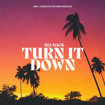 Turn It Down by Nia Mack