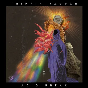 Acid Break by Trippin Jaguar