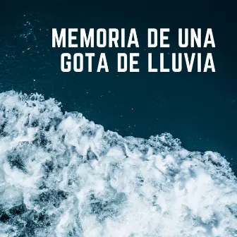 Memoria De Una Gota De Lluvia by Canal de la Naturaleza sin Interrupción