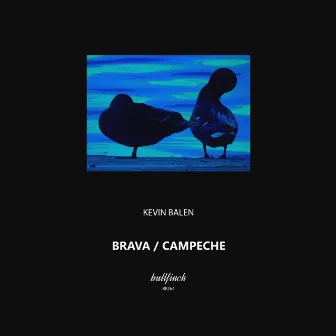 Brava / Campeche by Unknown Artist