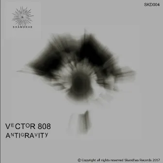 Antigravity by Vector 808