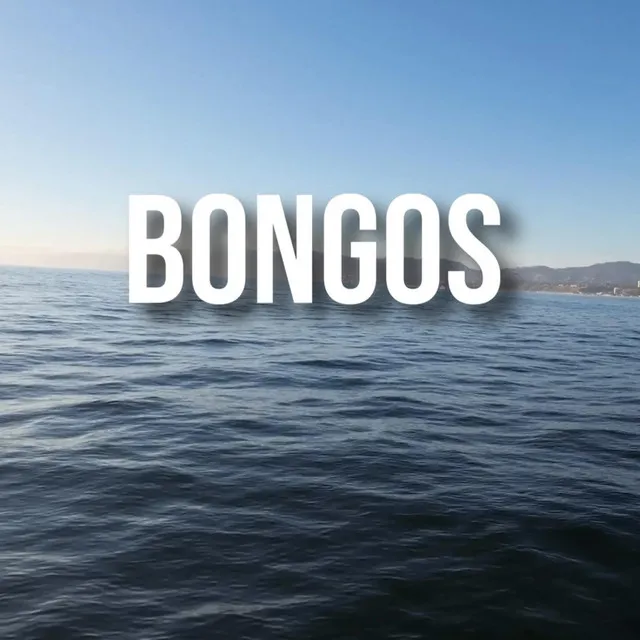 Bongos