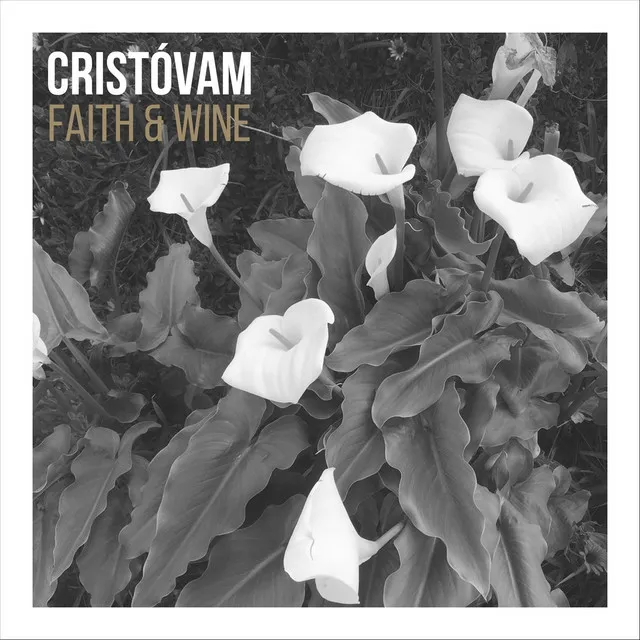 Faith & Wine