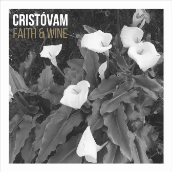 Faith & Wine by Cristóvam