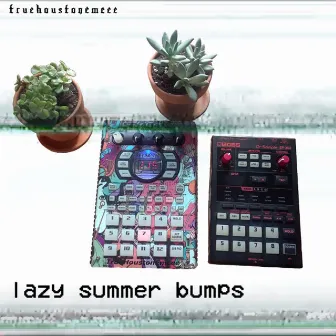 Lazy Summer Bumps by TrueHoustonEmcee