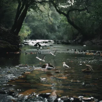 Serene Binaural Meditation with Nature Birds and Creek by Zen Room Masters