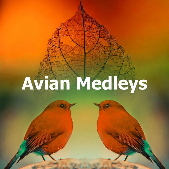 Avian Medleys