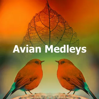 Avian Medleys by Birdland Nature