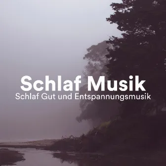 Schlaf musik - Schlaf Gut und Entspannungsmusik by Justin's Noise