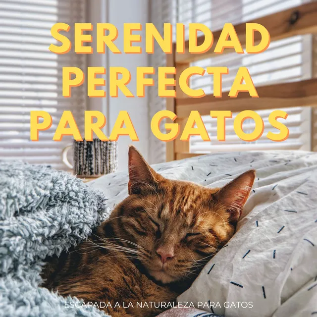 Serenidad Perfecta Para Gatos: Escapada A La Naturaleza Para Gatos