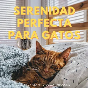 Serenidad Perfecta Para Gatos: Escapada A La Naturaleza Para Gatos by Musicoterapia para gatitos