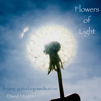 Flowers of Light (Dreamy Guitarloop Meditations) by David Mages