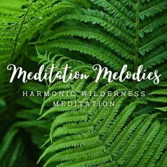 Piano Tranquility: Nature's Meditation Melodies by Alpha Waves Meditation