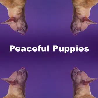 Peaceful Puppies by Dog Music Planet