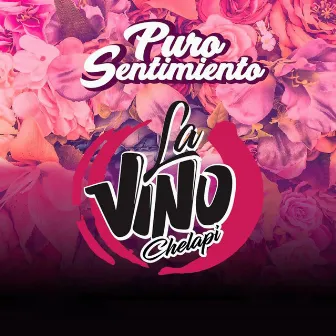 Puro Sentimiento by La Vinochelapi