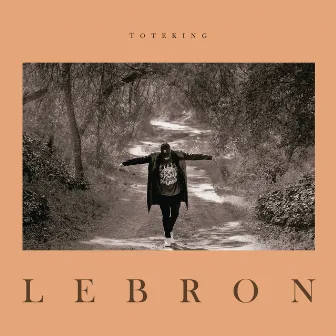 Lebron by ToteKing