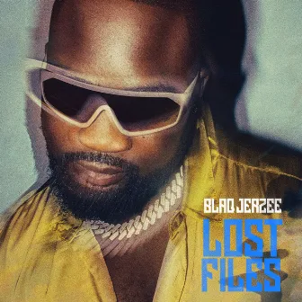 Lost Files by Blaq Jerzee