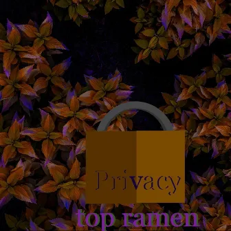 Privacy by Top Ramen