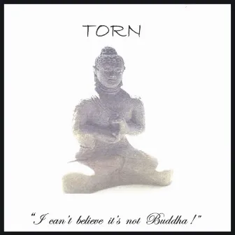 I Can't Believe It's Not Buddha! by Torn