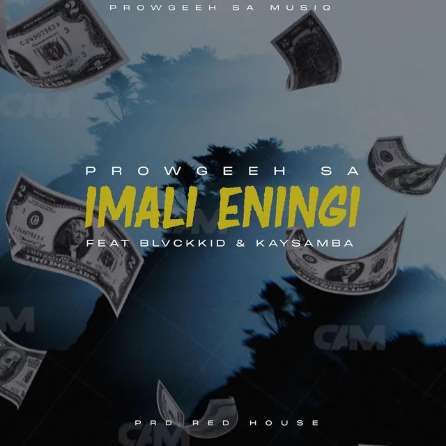 Imali Eningi