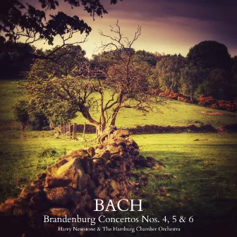 Bach: Brandenburg Concertos Nos. 4, 5 & 6 by Hamburg Chamber Orchestra