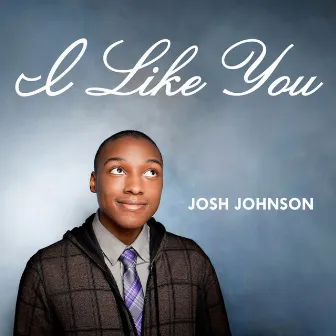 I Like You by Josh Johnson