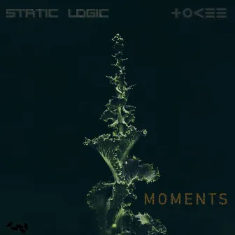 Moments by Static Logic