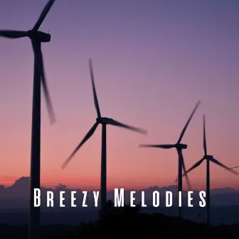 Breezy Melodies: Therapeutic Massage with Windy Chill Music by Nature Sounds Academy