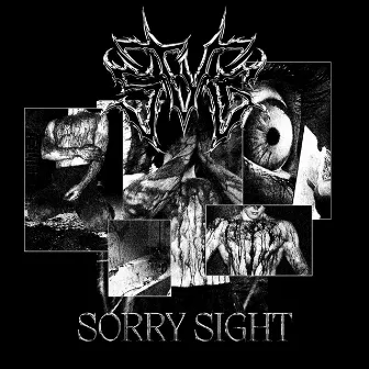 SORRY SIGHT by STVG