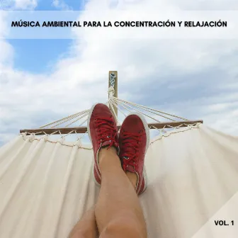 Música Ambiental Para La Concentración Y Relajación Vol. 1 by Mentes relajadas