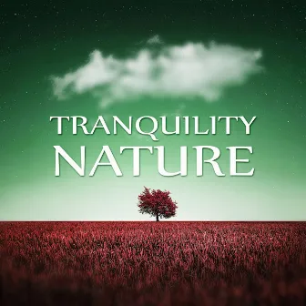 Tranquility Nature – Soothing Sounds, Nature Sounds for Therapy, Easy Listening, Massage Music, Spa Sounds, New Age, Music for Wellness by Beautiful Nature Music Paradise