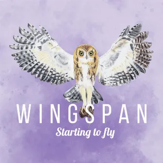 Starting to Fly (Wingspan Original Video Game Soundtrack) by Paweł Górniak