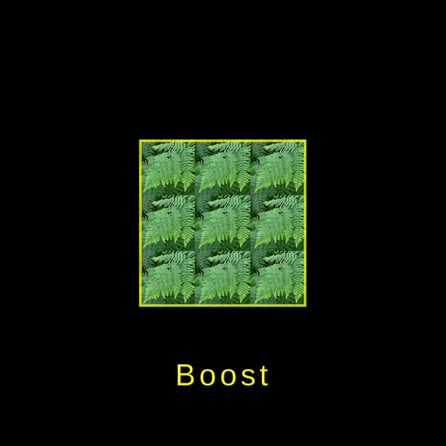 Boost