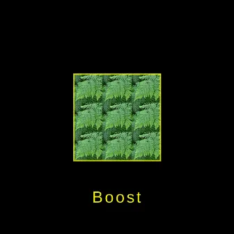 Boost by Baboust