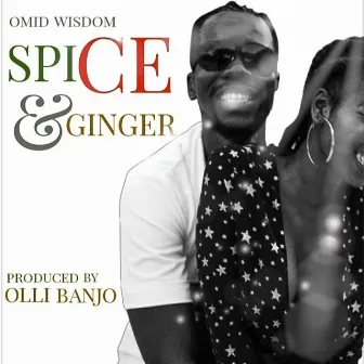 Spice & Ginger by Omid Wisdom