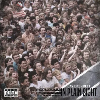 In Plain Sight by Jay Daskreet