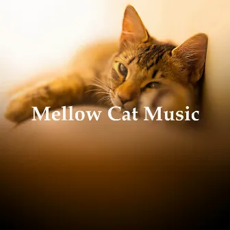 Mellow Cat Music by Relaxing Cat Music