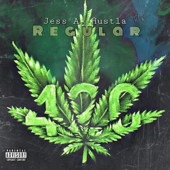 Regular by Jess A. Hustla